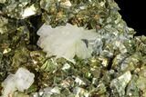 Bladed Barite Crystals on Iridescent Chalcopyrite - Morocco #160137-2